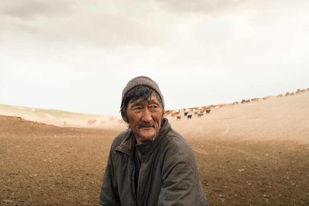 沙化的蒙古草原